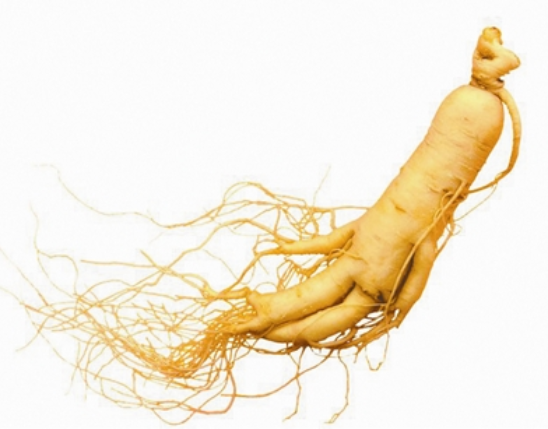 Ginseng Extract