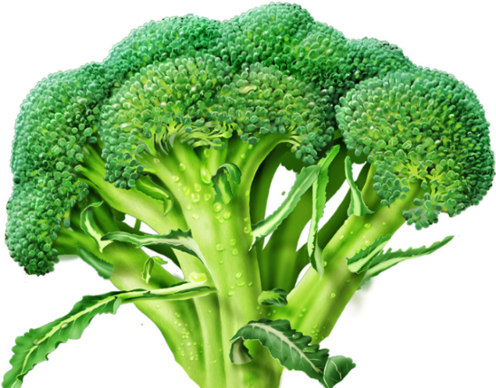 Broccoli Seed Extract (Patented)