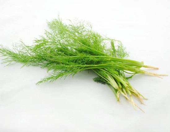 Fennel Extract