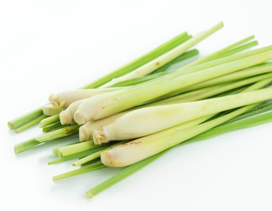 Lemongrass Extract