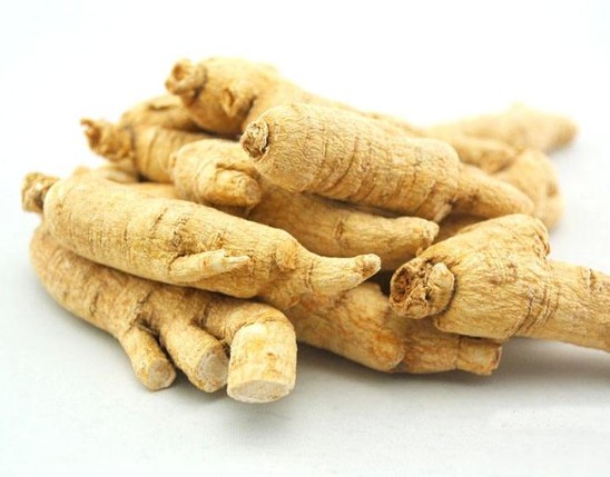 American Ginseng Extract